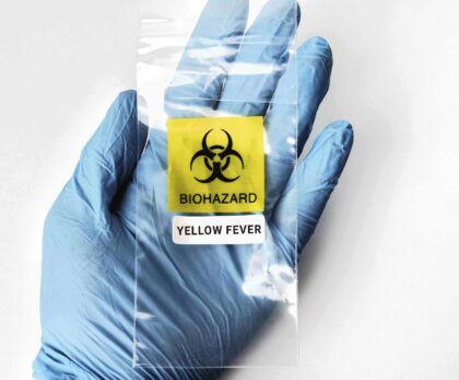 Do I Need a Yellow Fever Certificate to Enter Tanzania?